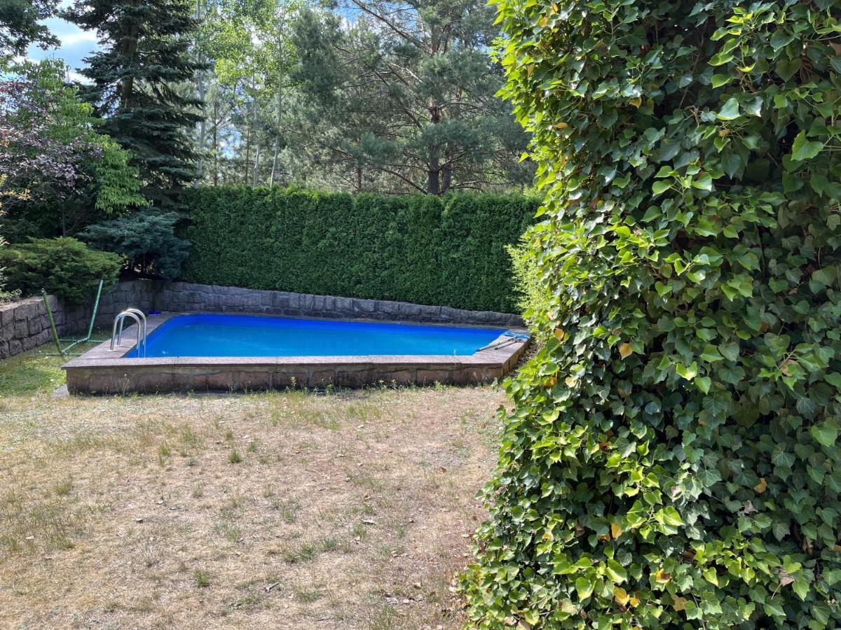 Ferienhaus Mit Pool Zum Traeumen Und Entspannen Fuer Alle Sinne Bad Schmiedeberg Ngoại thất bức ảnh